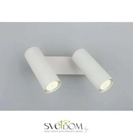 Настенные светильники APL.004.01.02 Aployt | Svetdom.by