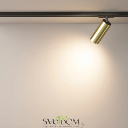 TR021-1-12W3K-W-BBS Maytoni