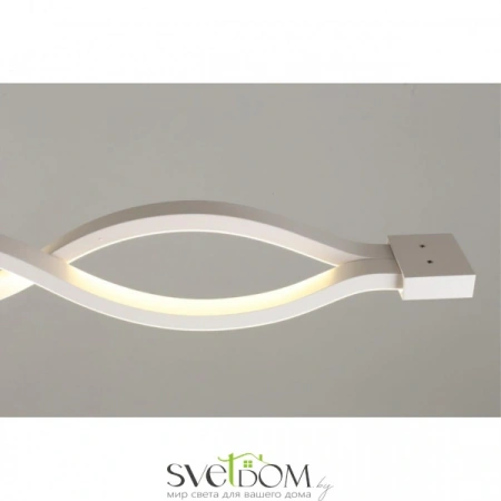 Настенно-потолочные светильники Aployt APL.002.02.36 от Магазина Svetdom.by