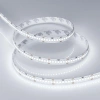 Светодиодная лента RT 2-5000 24V White5500 10mm (2835, 252 LED/m, LUX) Arlight 023555 Arlight