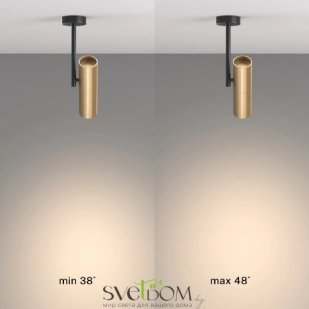 Потолочные светильники Maytoni C020CL-01GB от Магазина Svetdom.by