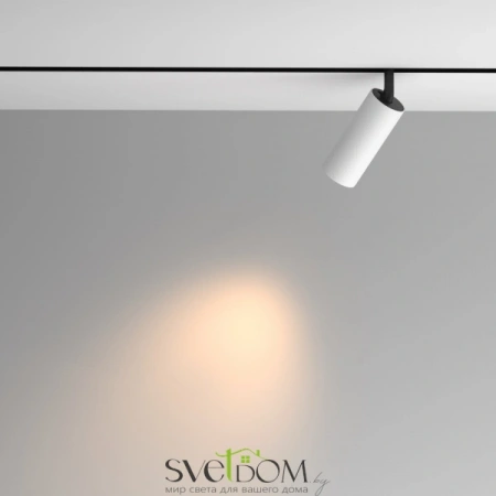 TR097-2-12W3K-M-BW Maytoni