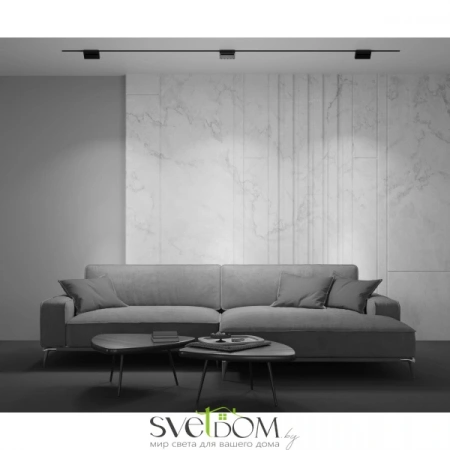 TR013-2-10W3K-B Maytoni