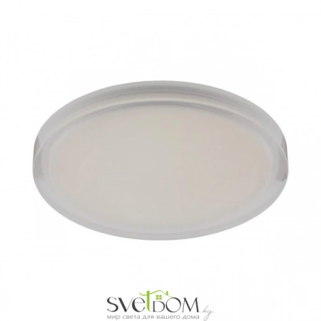 Накладные светильники Aployt APL.0066.09.12 от Магазина Svetdom.by