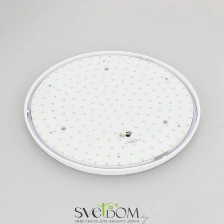 Накладные светильники CITILUX CL702301N от Магазина Svetdom.by