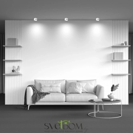 Потолочные светильники Maytoni C086CL-GX53-SRD-WS от Магазина Svetdom.by