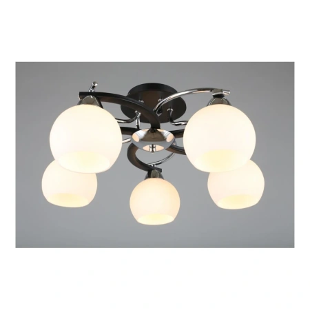 Люстра потолочная Omnilux  OML-25407-05 Omnilux