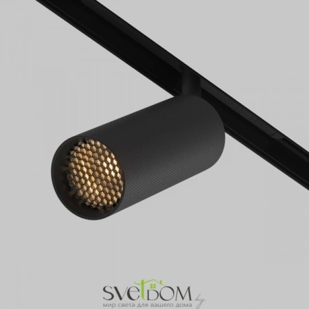 TR097-2-12W2.7K-M-BB Maytoni