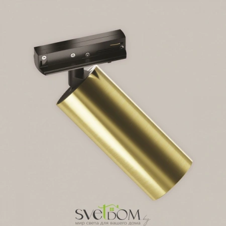 TR021-1-12W4K-W-BBS Maytoni