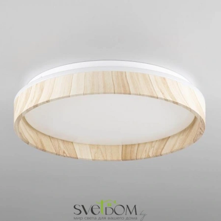 Потолочные светильники CITILUX CL753352G от Магазина Svetdom.by