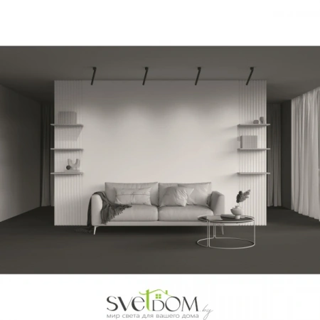 Потолочные светильники Maytoni C141CL-L300-6W3K-B от Магазина Svetdom.by