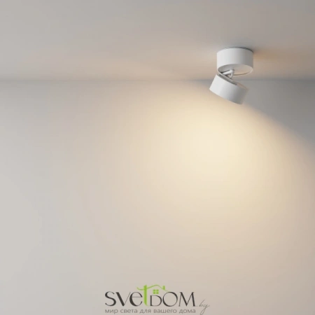 Потолочные светильники Maytoni C024CL-12W3K-W-1 от Магазина Svetdom.by