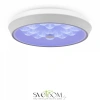 Фото Светильники Freya FR10012CL-L24W Светильники Freya FR10012CL-L24W от Магазина Svetdom.by