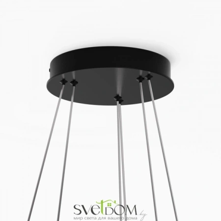 Подвесные светильники Maytoni MOD058PL-L55BK от Магазина Svetdom.by