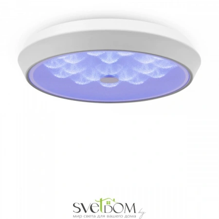 Фото Светильники Freya FR10012CL-L24W Светильники Freya FR10012CL-L24W от Магазина Svetdom.by