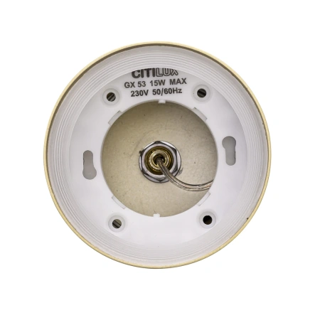Подвесной светильник Citilux Hardy CL002P12 CITILUX