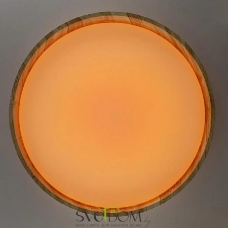 Потолочные светильники CITILUX CL753452G от Магазина Svetdom.by