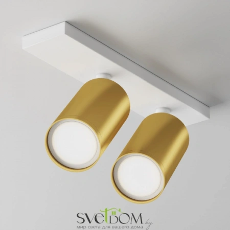 Потолочные светильники Maytoni C051CL-U-2WMG от Магазина Svetdom.by