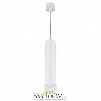 Светильник подвесной Aployt  APL.012.06.10