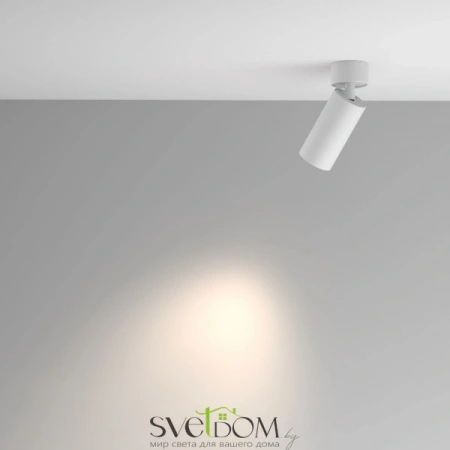 Потолочные светильники Maytoni C082CL-01-GU10-W от Магазина Svetdom.by