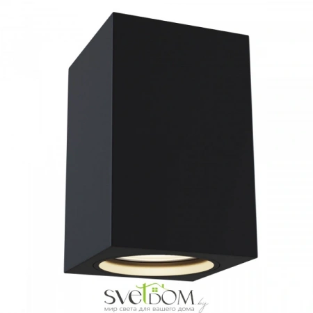 Потолочные светильники Maytoni C011CL-01B от Магазина Svetdom.by