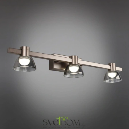 Настенные светильники APL.788.01.03 Aployt | Svetdom.by