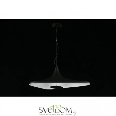 Подвесные светильники Aployt APL.649.06.08 от Магазина Svetdom.by