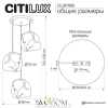 CITILUX CL247083 ROCKA Дымчатый Подвес CITILUX