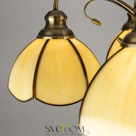 Люстры подвесныеCL443151 CITILUX | Svetdom.by