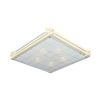 Светильник настенно-потолочный Omnilux  OML-40517-05 Omnilux