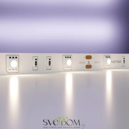 Светодиодная лента 12В 5050 7,2Вт/м  4000K 5м IP20 10121