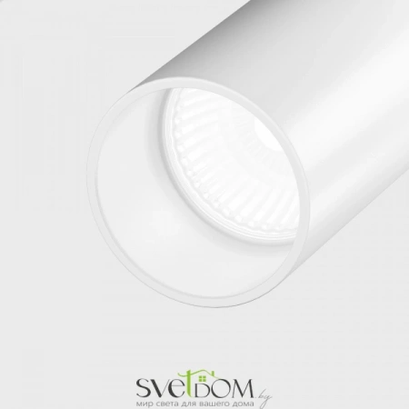 Потолочные светильники Maytoni C020CL-01W от Магазина Svetdom.by