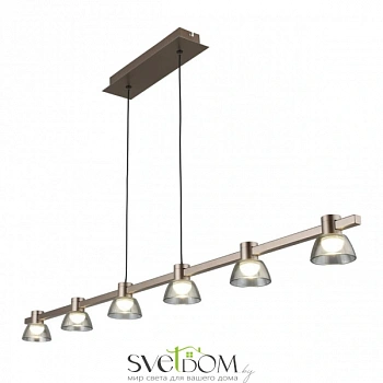 Люстра подвесная Aployt  APL.788.03.06