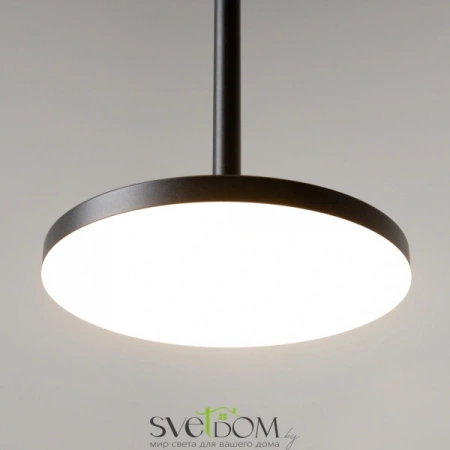 Подвесные светильники Maytoni P076PL-L12W4K-B от Магазина Svetdom.by