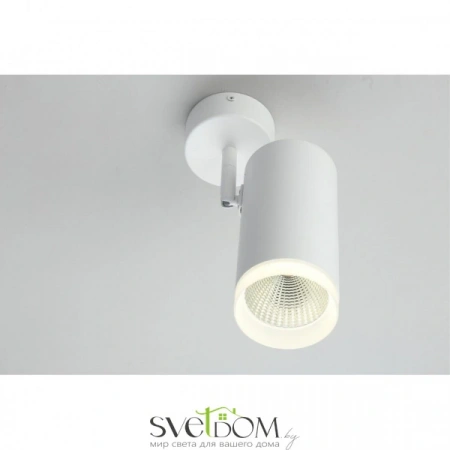 Настенно-потолочные светильники Omnilux OML-102609-20 от Магазина Svetdom.by