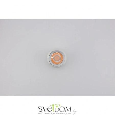 Светильник трековый Aployt  APL.0055.09.05 Aployt