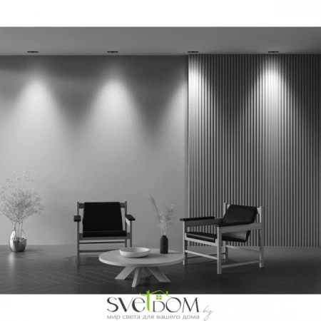 Встраиваемые светильники Maytoni DL126-02-GU10-B от Магазина Svetdom.by