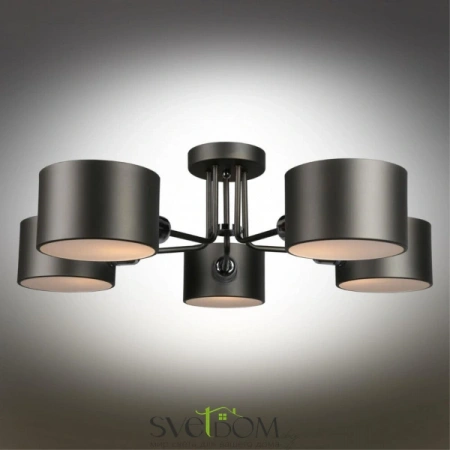 Люстры потолочныеOML-54507-05 Omnilux | Svetdom.by