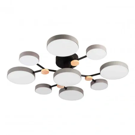 Потолочные светильники LED4U L3201-780 GR от Магазина Svetdom.by