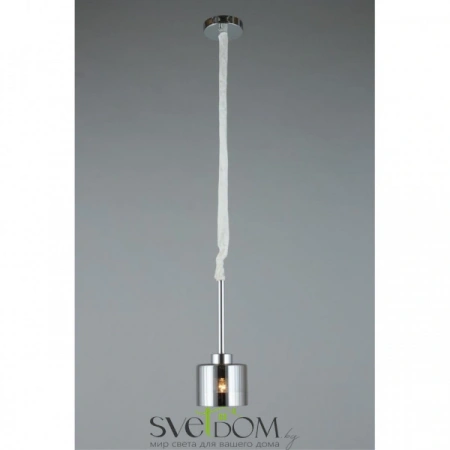 Подвесные светильники Omnilux OML-55806-01 от Магазина Svetdom.by