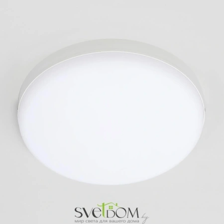 Накладные светильники CITILUX CL707021 от Магазина Svetdom.by