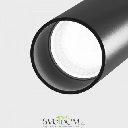 Потолочные светильники Maytoni C021CL-02B от Магазина Svetdom.by