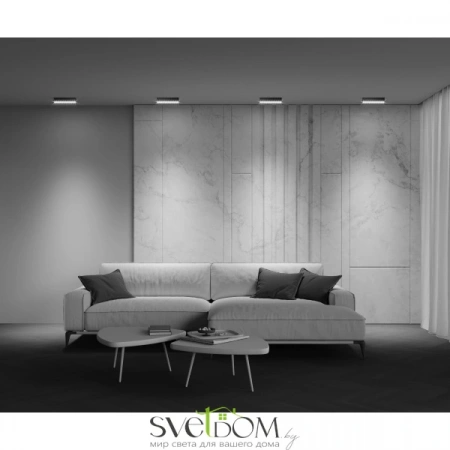 Потолочные светильники Maytoni C066CL-20W3-6K-B от Магазина Svetdom.by