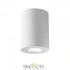 Фото Потолочные светильники Maytoni C016CL-01W Потолочные светильники Maytoni C016CL-01W от Магазина Svetdom.by
