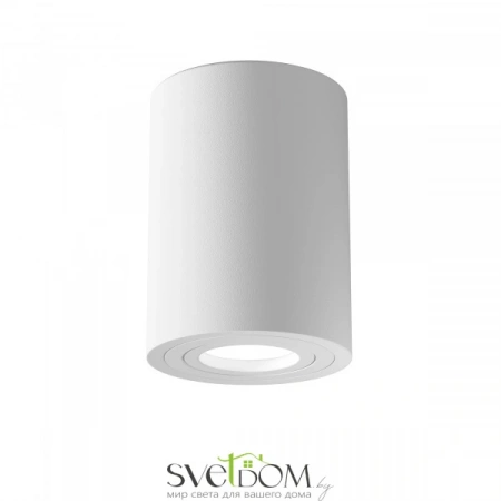 Потолочные светильники Maytoni C016CL-01W от Магазина Svetdom.by