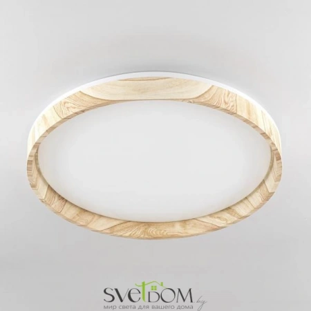 Потолочные светильники CITILUX CL753452G от Магазина Svetdom.by