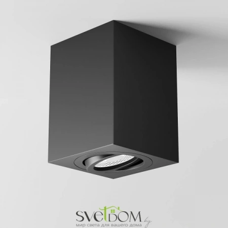 Потолочные светильники Maytoni C017CL-01B от Магазина Svetdom.by