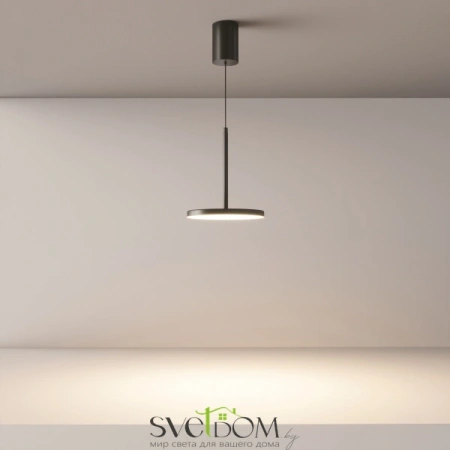 Подвесные светильники Maytoni P076PL-L12W3K-B от Магазина Svetdom.by