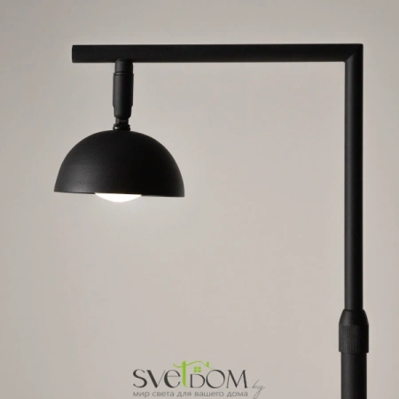 Напольный светильник (торшер) Maytoni MOD372FL-L10B3K Maytoni