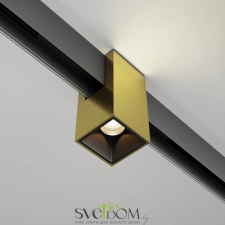 TR121-2-7W3K-BS Maytoni